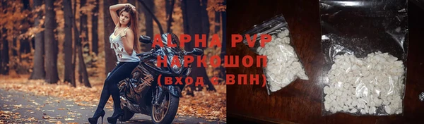 мдпв Краснослободск