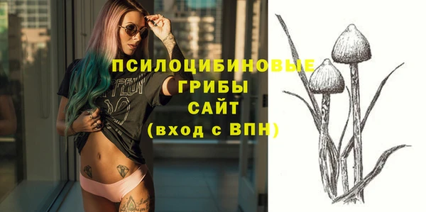 мдпв Краснослободск