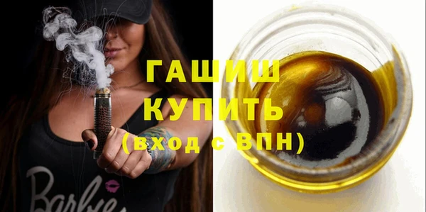 мдпв Краснослободск