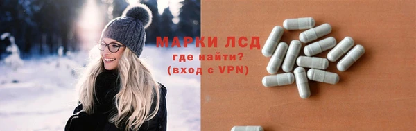 мдпв Краснослободск