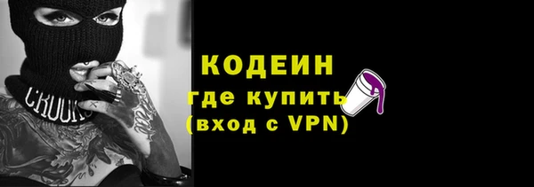 мдпв Краснослободск