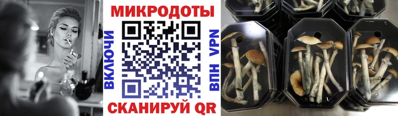 купить наркотик  Ядрин  Галлюциногенные грибы ЛСД 